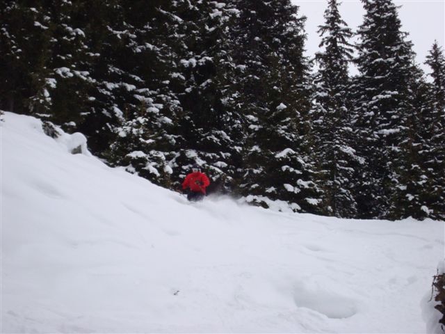Stefan in the trees above Klosters, Davos
