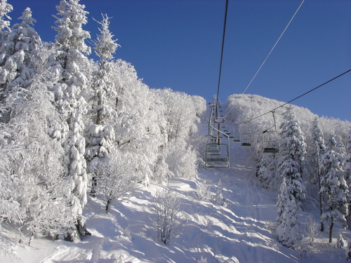 Platak  Resort Guide