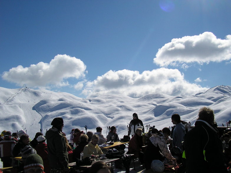 vogel on a sunny day