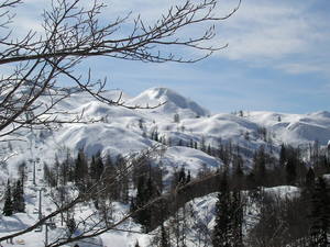 calm day, Vogel photo