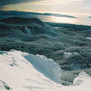 ..is that a joy..?!?, Platak