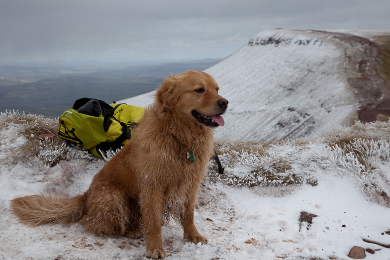Pen-y-Fan Light Snow