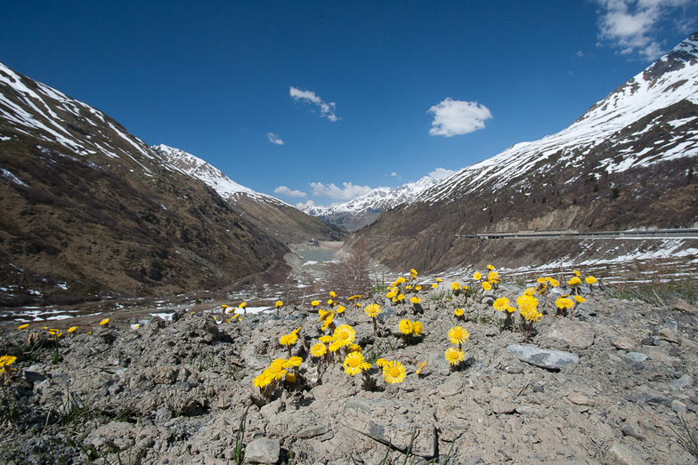 Spring in the San Berdardo Pass