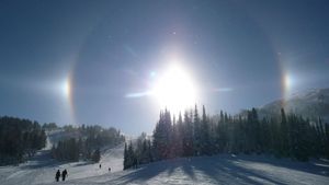 Snow Dogs (very cold), Sunshine Village photo