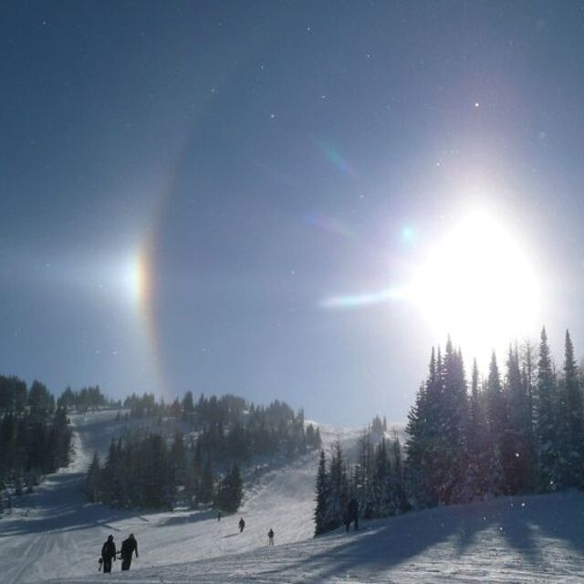 Snow Dogs (very cold), Sunshine Village