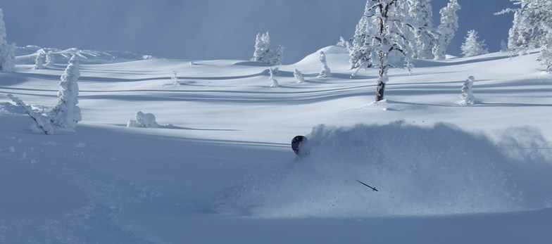 Jackson Hole snow