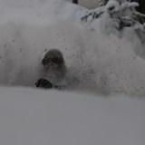 jake riding headhigh pow, Gerlos