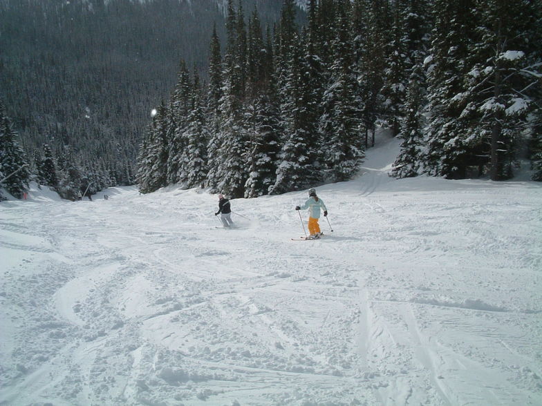 Powder in Lake Louise