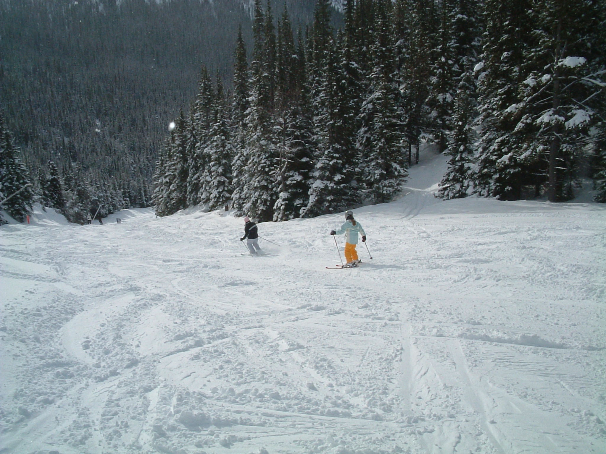 Powder in Lake Louise
