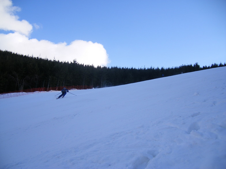 konjarnik, Stara Planina/Babin Zub