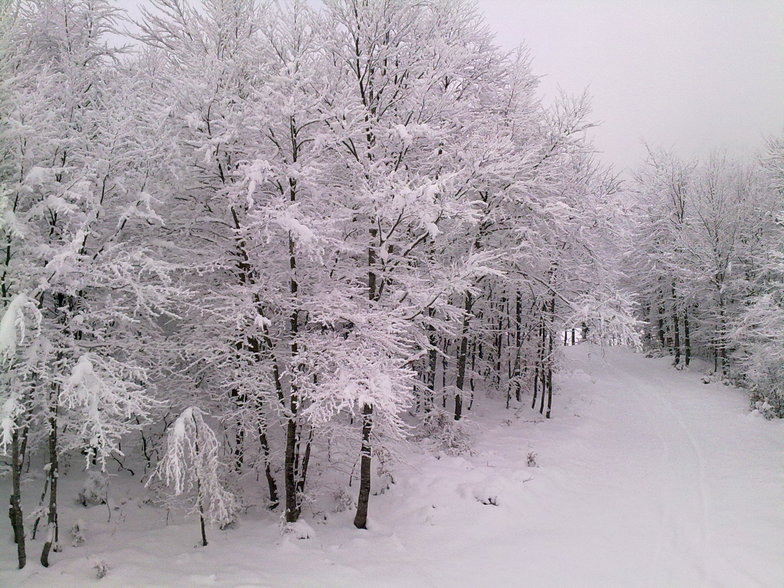 SNOW, 3-5 Pigadia