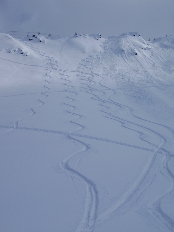 Kicking Horse snow