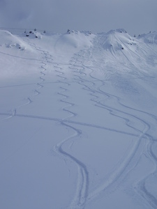 Into Feuz Bowl, Kicking Horse photo