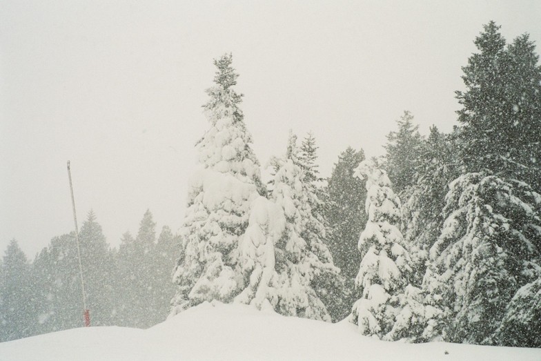 Formigal