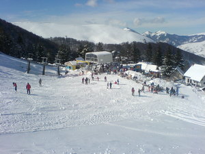 Brezovica photo