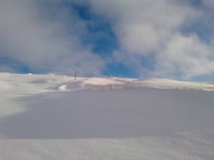 Yad Moss  photo