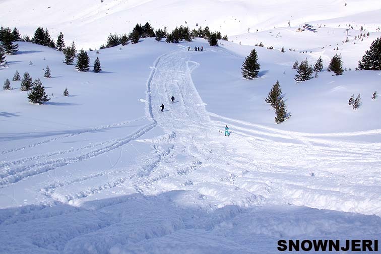 Brezovica (qafa e luanit)