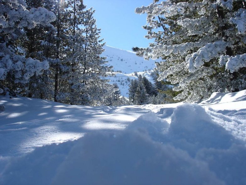 Bezovica, Brezovica