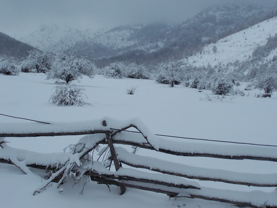 Snowy day, Kopanki - Pelister