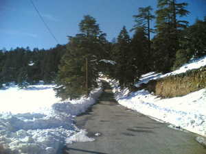 michlifen photo