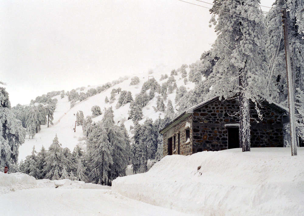 North Face ,Troodos , Cyprus, Mt Olympus