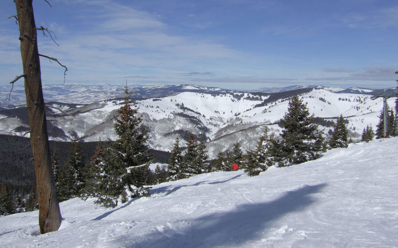 Champagne Glade, Vail