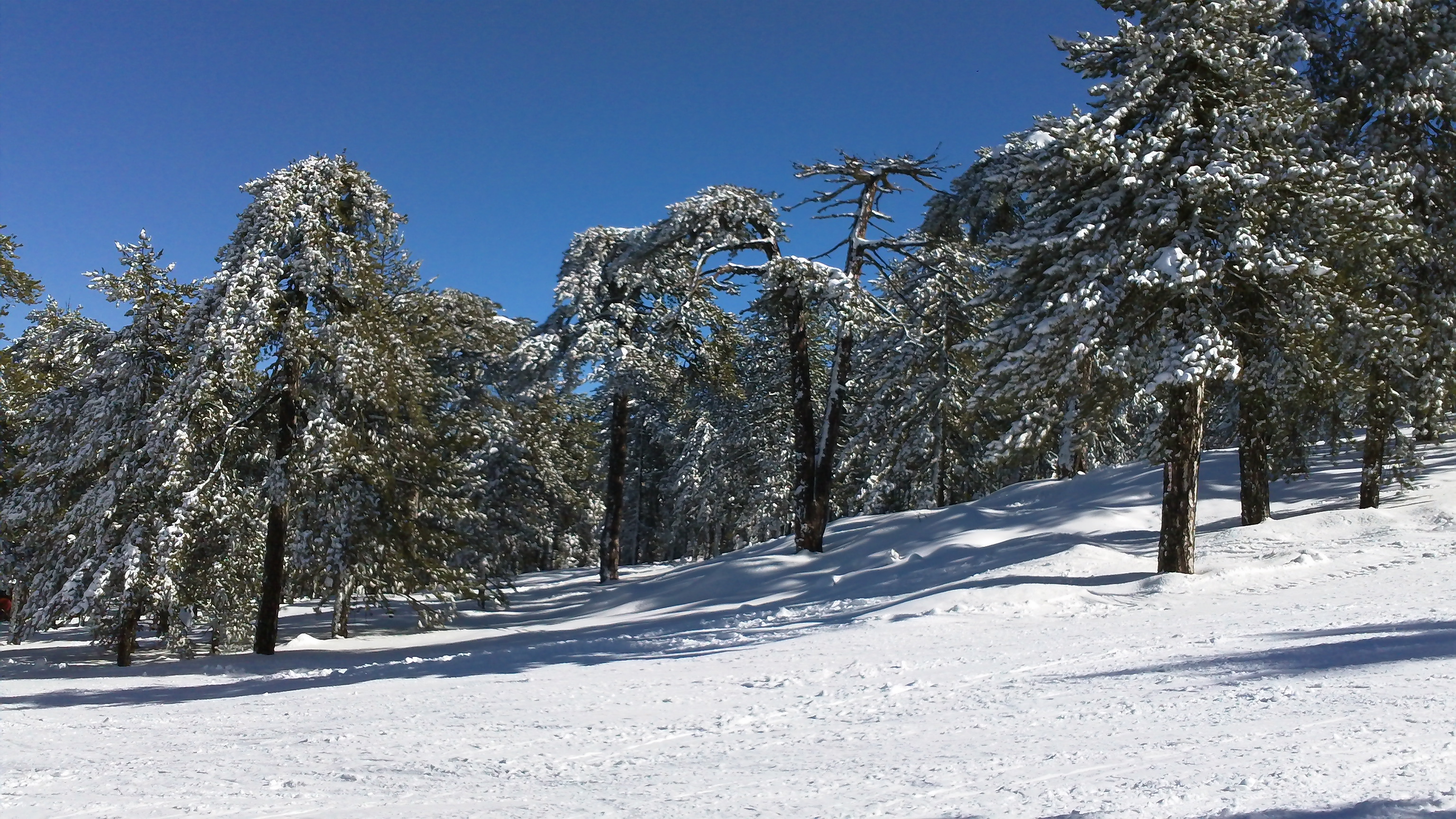 January 27 2011, Mt Olympus