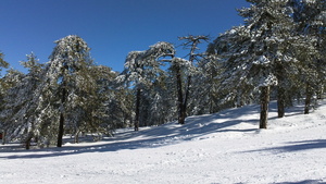 January 27 2011, Mt Olympus photo