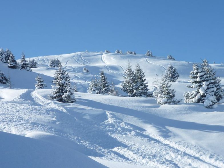 Perfect powder, Popova Sapka