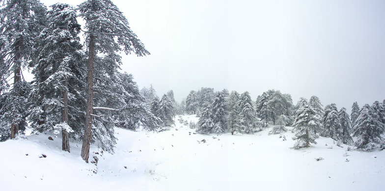 Vassilitsa, Vasilitsa