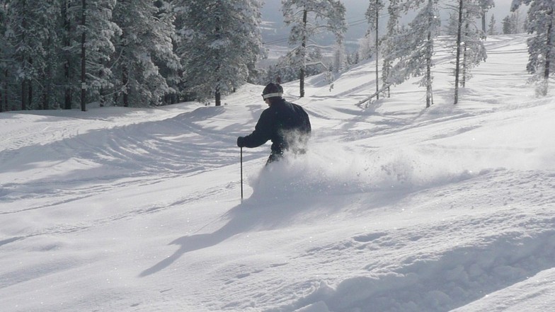 Buckhorn Powder, Kimberley