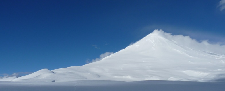 Volcán Llaima, Las Araucarias