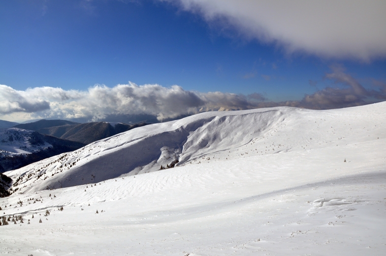 mountain view, Drahobrat