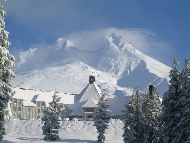 Timberline snow