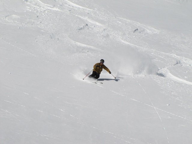 Untracked Powder Bliss!, Big Red Cats