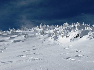 Fresh Tracks at Big Red Cats photo