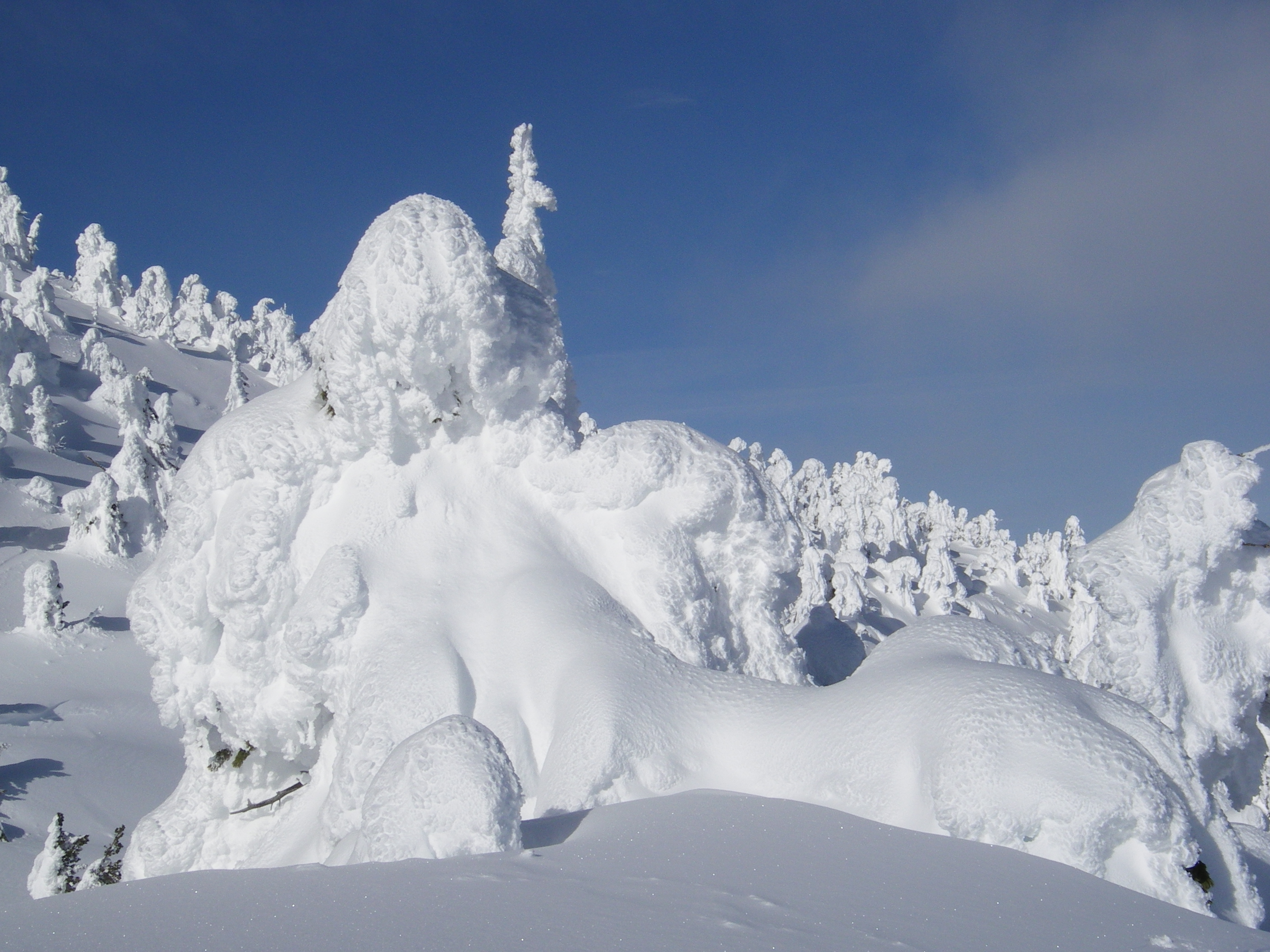 Snow Ghosts, Baldy Mountain Resort
