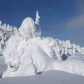 Snow Ghosts, Baldy Mountain Resort
