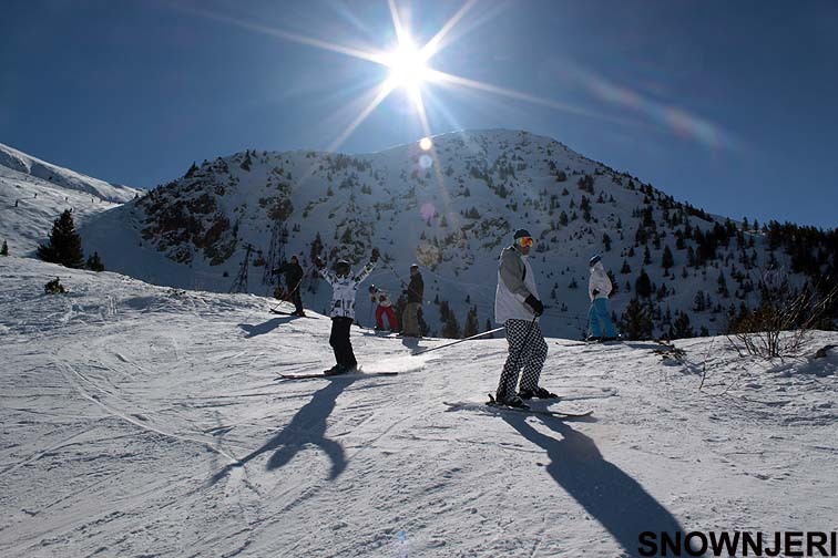 Happy bunch, Brezovica