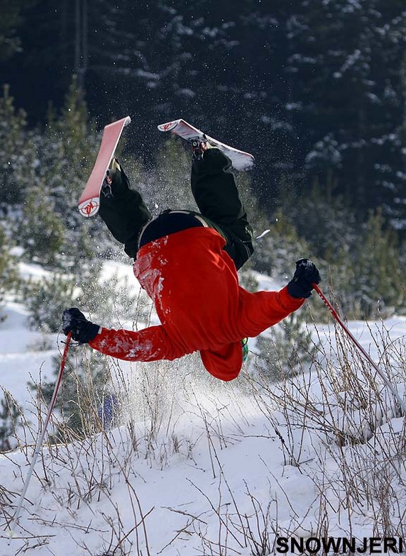 Baton gagica, Brezovica
