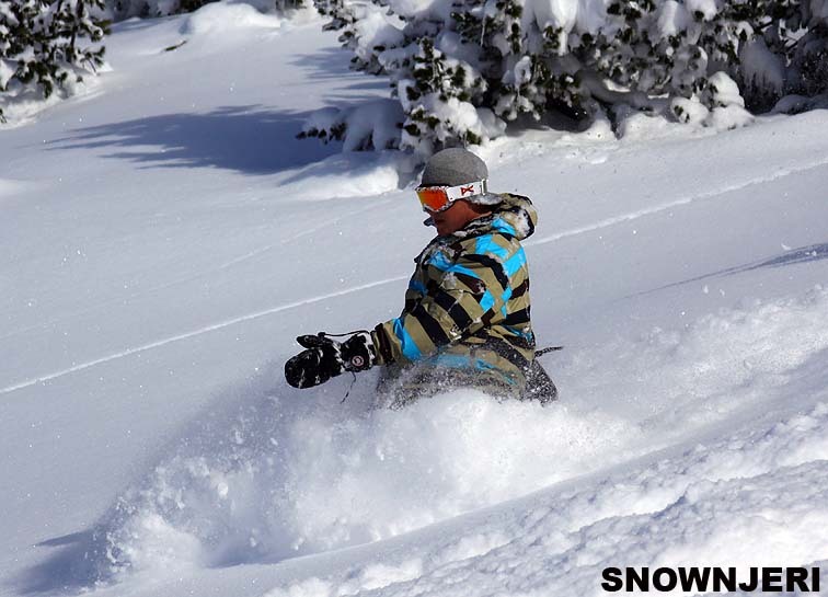 Brezovica Powder
