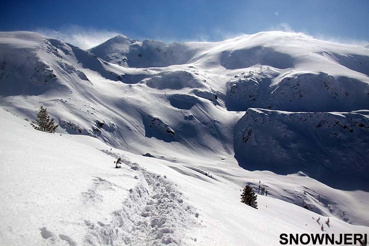 Snow Njeri, Brezovica