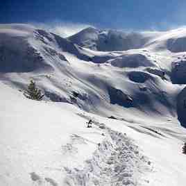 Snow Njeri, Brezovica