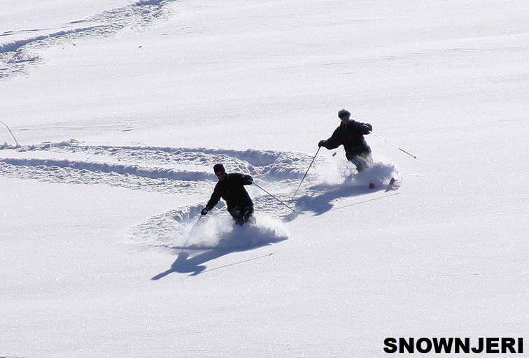 Synchro in Breza, Brezovica
