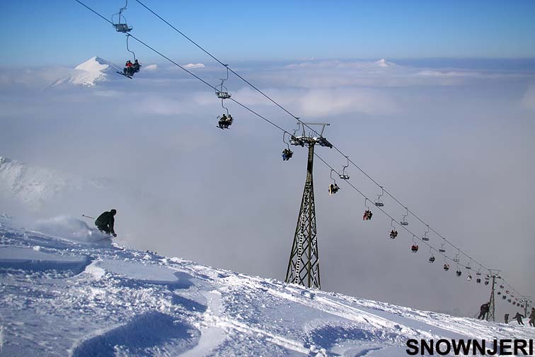 Happy on fresh snow, Brezovica