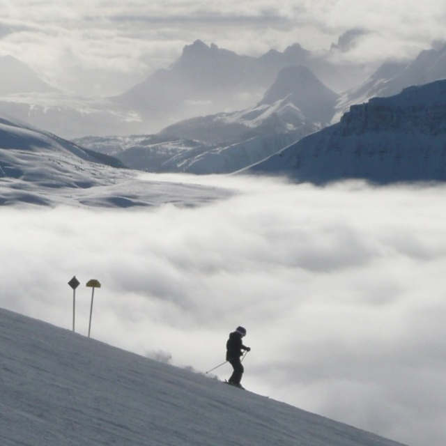 Sky Islands, Sunshine Village