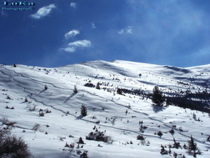 Pelister powder, Kopanki - Pelister photo