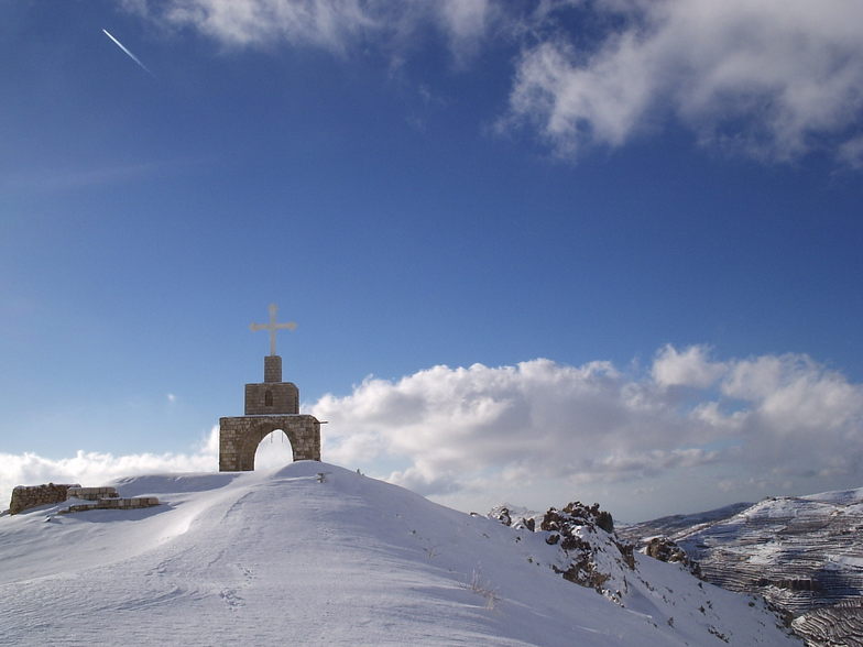 la croix, Cedars