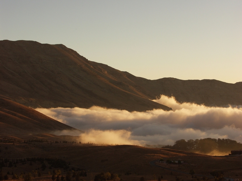 Mer de nuage..., Cedars