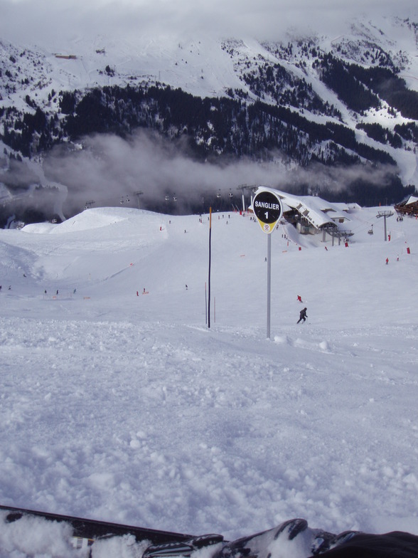 Sanglier - Meribel, Méribel